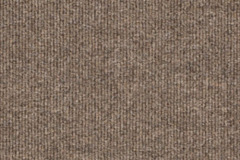 Field-Mouse