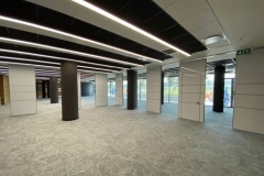 Deloitte River Creek