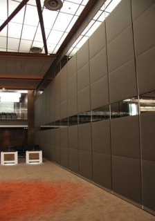 DIRCO11
