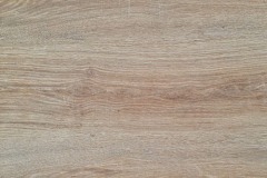 Canyon Oak