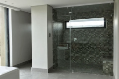 Showerflex frameless shower door