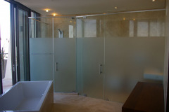 Showerflex frameless shower door