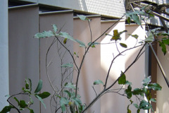 Solamark fabric awnings