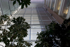Standard Bank