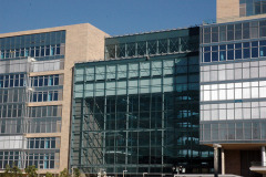 Standard Bank