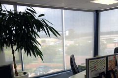 Unilever Durban
