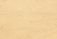 Maple Veneer