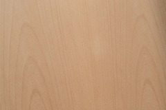 Beech veneer