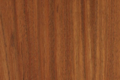Etimoe veneer