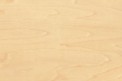 Maple Veneer